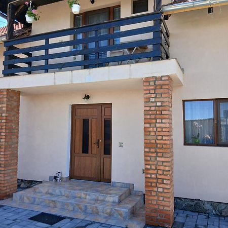Casa Loredana Cârțișoara Exterior photo