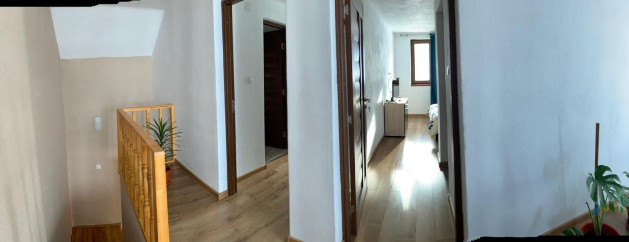 Casa Loredana Cârțișoara Exterior photo