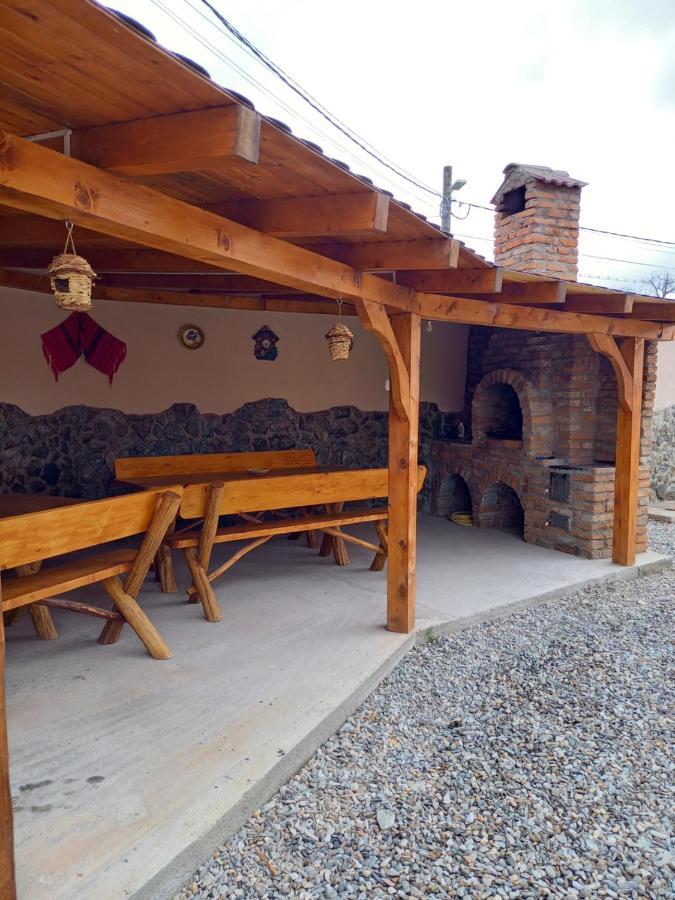 Casa Loredana Cârțișoara Exterior photo