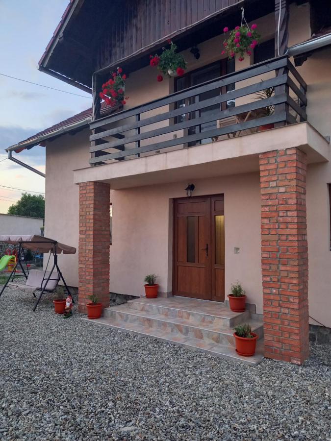 Casa Loredana Cârțișoara Exterior photo