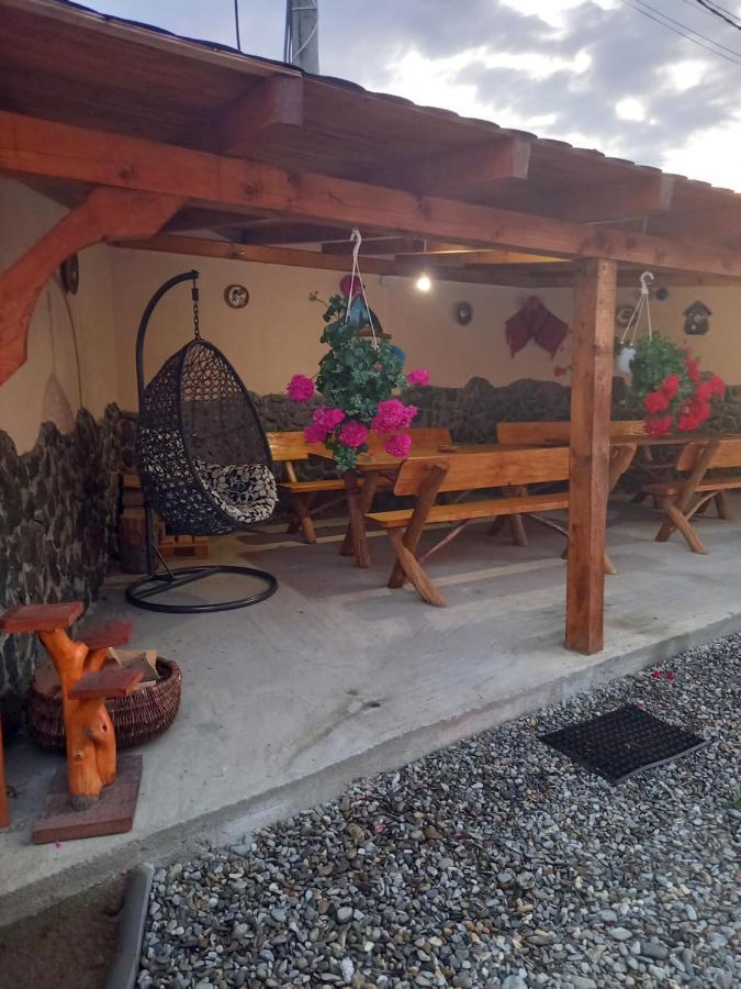 Casa Loredana Cârțișoara Exterior photo